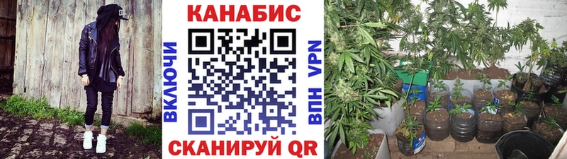 Марихуана Bruce Banner  Купить  Горняк 